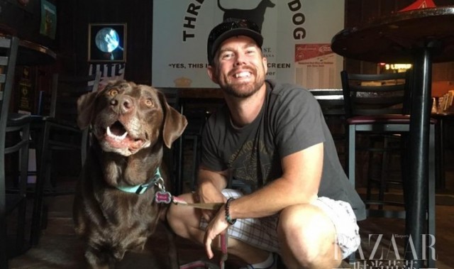 一只生命即将终结的猎犬,却得到主人环游世界的爱