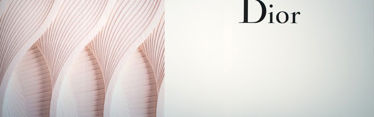 刘亦菲于东京法国驻日大使馆赴Dior迪奥晚宴