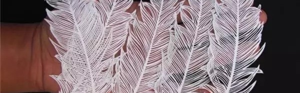 他只用一把雕刻刀，就让羽毛跃然纸上