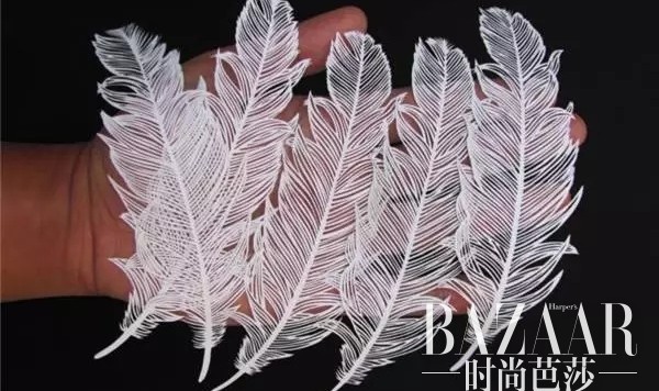 他只用一把雕刻刀,就让羽毛跃然纸上