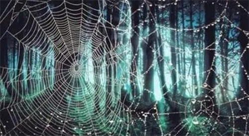 天罗在各柱的意思 时柱为天罗代表什么