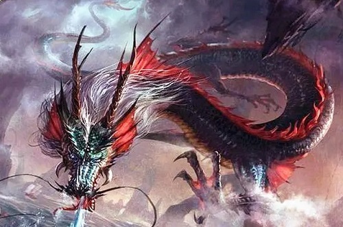 今年属什么生肖 今年是什么属相