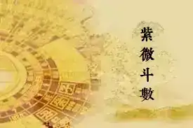 紫微命盘命宫主星