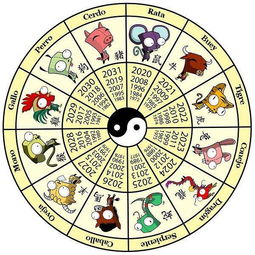 十二生肖八卦与属相(阴阳八卦对应生肖)