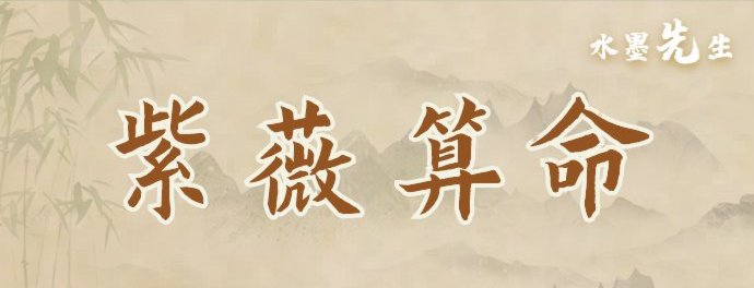 紫薇排盘