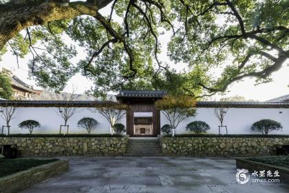 女人命里木多代表什么？八字木多的是富贵命