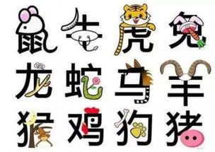 十二生肖大属相是哪几位(大生肖有哪些)