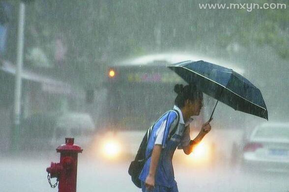 梦见大雨