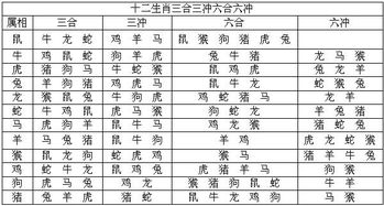 属相表2026什么属相(2026什么生肖)