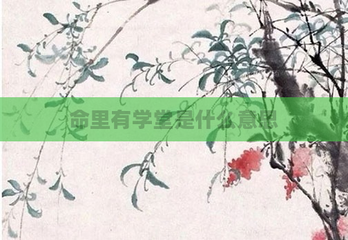 命里有学堂是什么意思