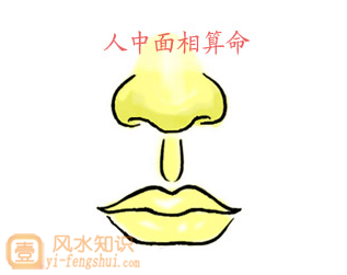 算命都算什么内容(算命类型都包括什么)