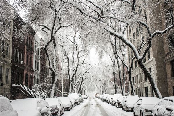 梦见下雪什么意思