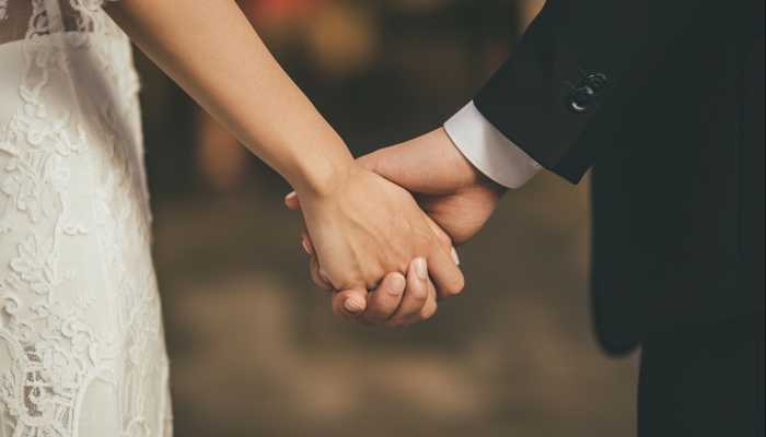 龙女猪男属相配吗 属猪男和属龙女的婚姻契合吗