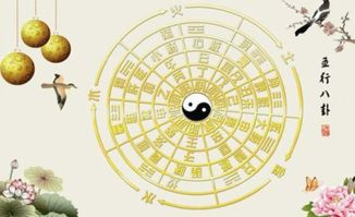 八字五行土多 缺金 土命-土命的人五行里缺金怎么办