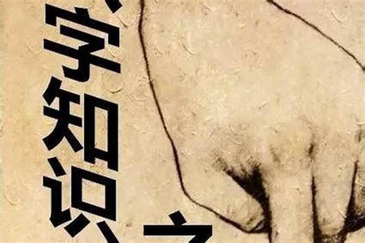 命里犯小人：八字命理中的困境与突破