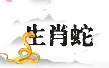 生肖蛇人最佳婚配属相