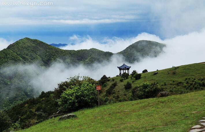 梦见在山上