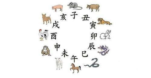 属相婚配有科学依据吗