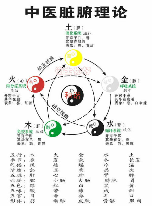 属相五行分配表图解法大全(12属相金木水火土对照表)