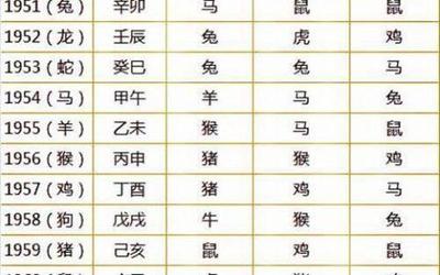 生辰八字的属相问题-生辰八字与属相的关系