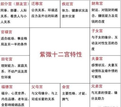命宫各星代意思详解