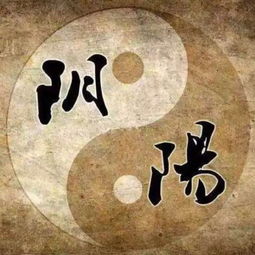 八字小富小贵都什么人