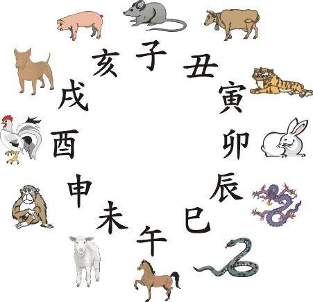 十二生肖属相命格表图解(十二生肖命格大全,命格命运)