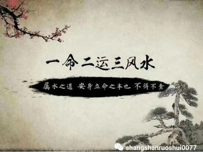 木命并且八字土多-八字里木和土多意味着什么