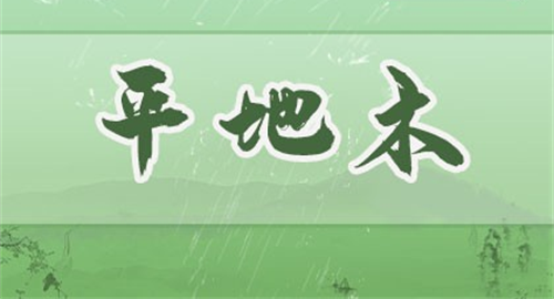 八字平地木命 平地木命是什么