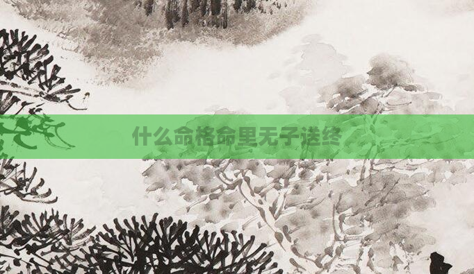 什么命格命里无子送终