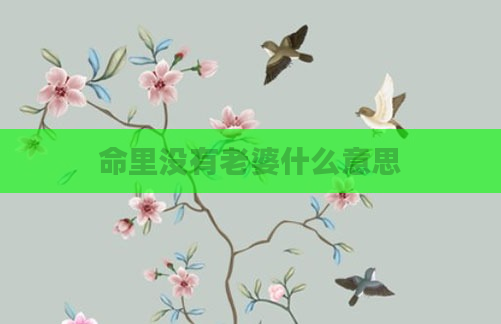 命里没有老婆什么意思