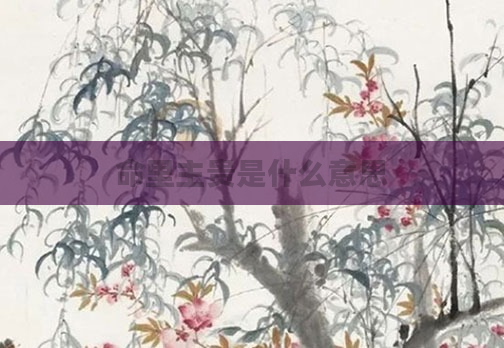 命里主贵是什么意思
