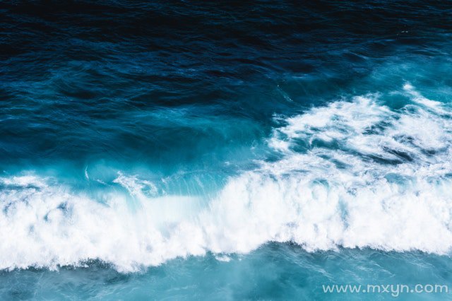 梦见海浪