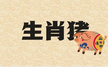 生肖猪和哪些属相相冲