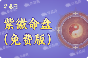 紫微命盘(免费版),紫微斗数算命免费,紫微八字排盘在线查