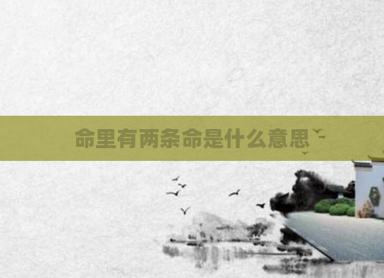 命里有两条命是什么意思