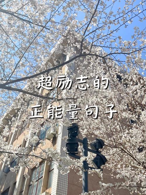 因为天生敢为,所以无所畏惧