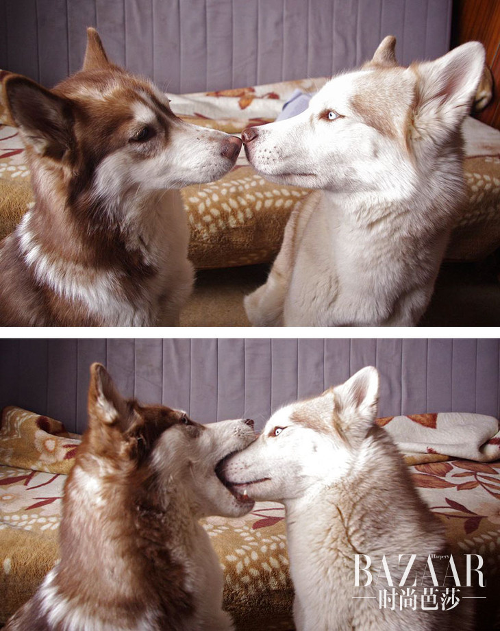 #1 First Kiss