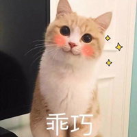 乖巧1