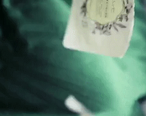 0005.gif