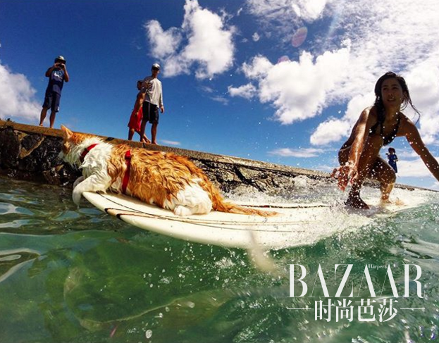 adaymag-one-eyed-cat-loves-swim-surf-01