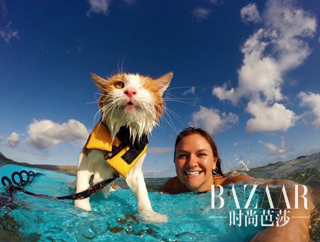 adaymag-one-eyed-cat-loves-swim-surf-05