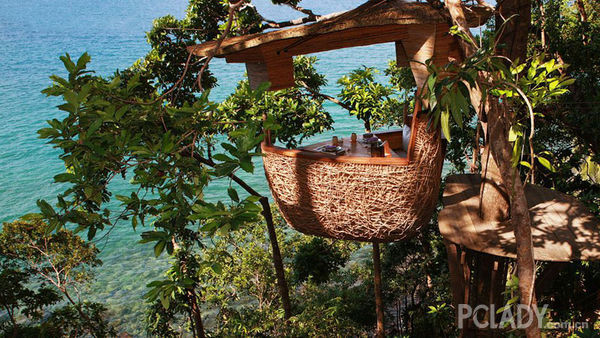 餐厅晚餐也疯狂