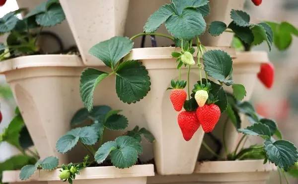 837967c48564db9572bff579f52c4d5b