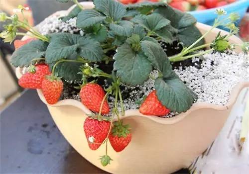 58871440bf22a2a7c4f1fa628a9e768f