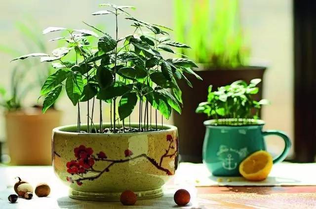 4be3df235007bb95b654c4071dfa04df