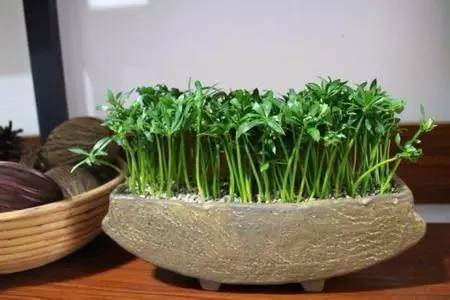 d47104a901e9e0d91c874a421d45c00e