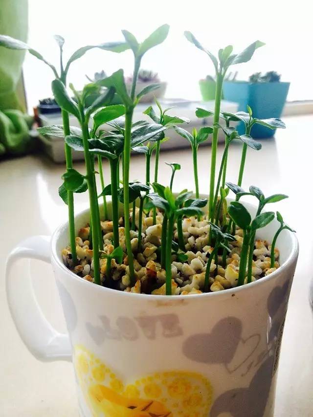 2f0ea7c9ec87510f94a1d796a0d6c14f