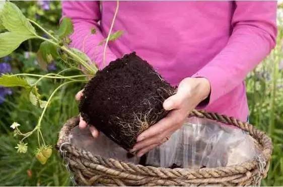 ad64a65d277e8fb030ebf27e62deb439