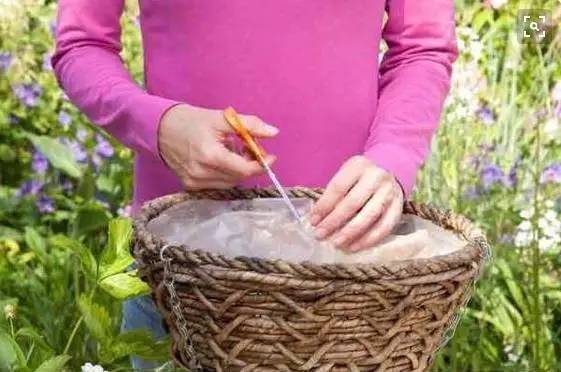 47bac28841a370e0065016ed22569c3d